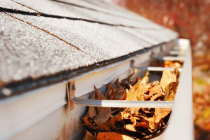 Gutter Covers Grants NM