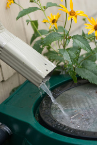 Rain Barrel Tijeras NM