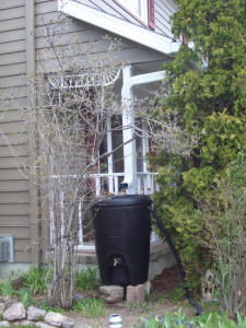 Rain Barrel Placitas NM